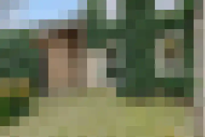 Deken Fritsenstraat 92 Rosmalen thumbnail 13