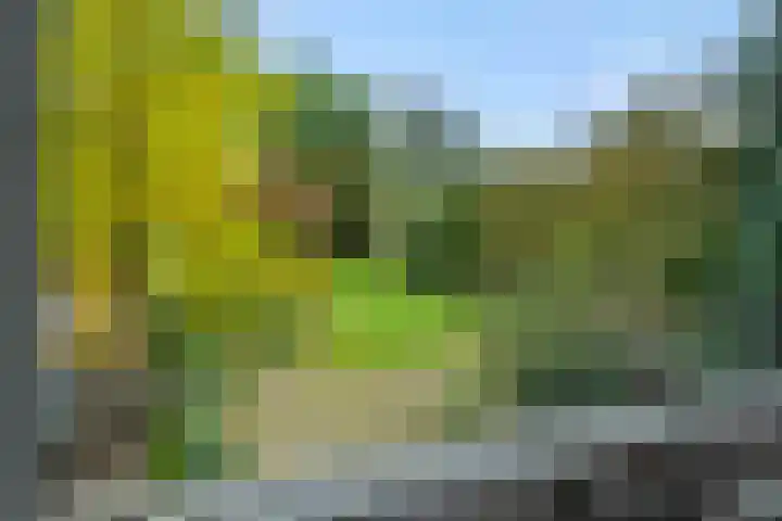Deken Fritsenstraat 92 Rosmalen thumbnail 21