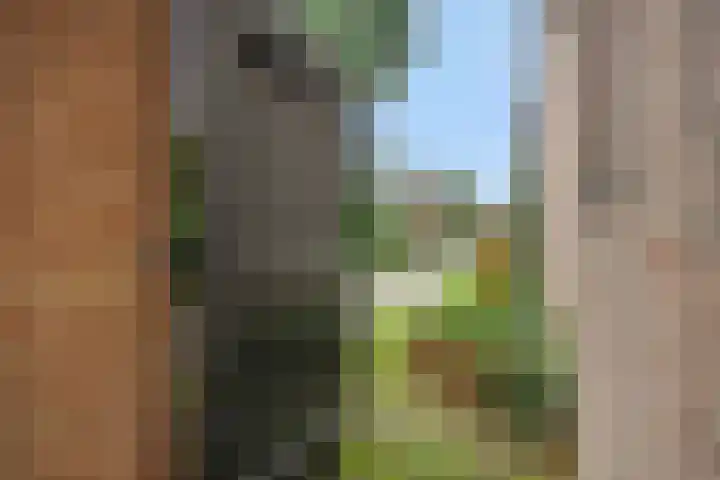 Deken Fritsenstraat 92 Rosmalen thumbnail 30