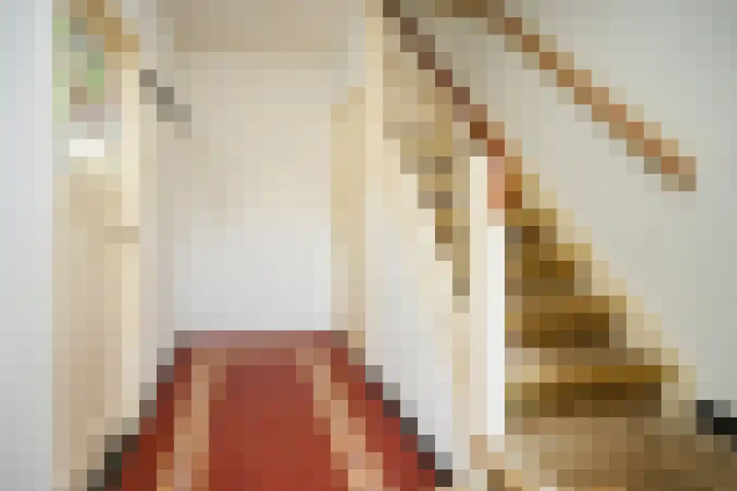 Deken Gruenwaltstraat 16 Nijmegen thumbnail 12