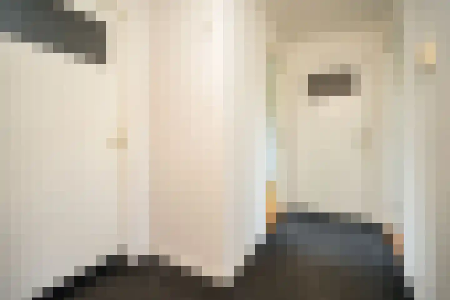 Deken Gruenwaltstraat 16 Nijmegen thumbnail 13