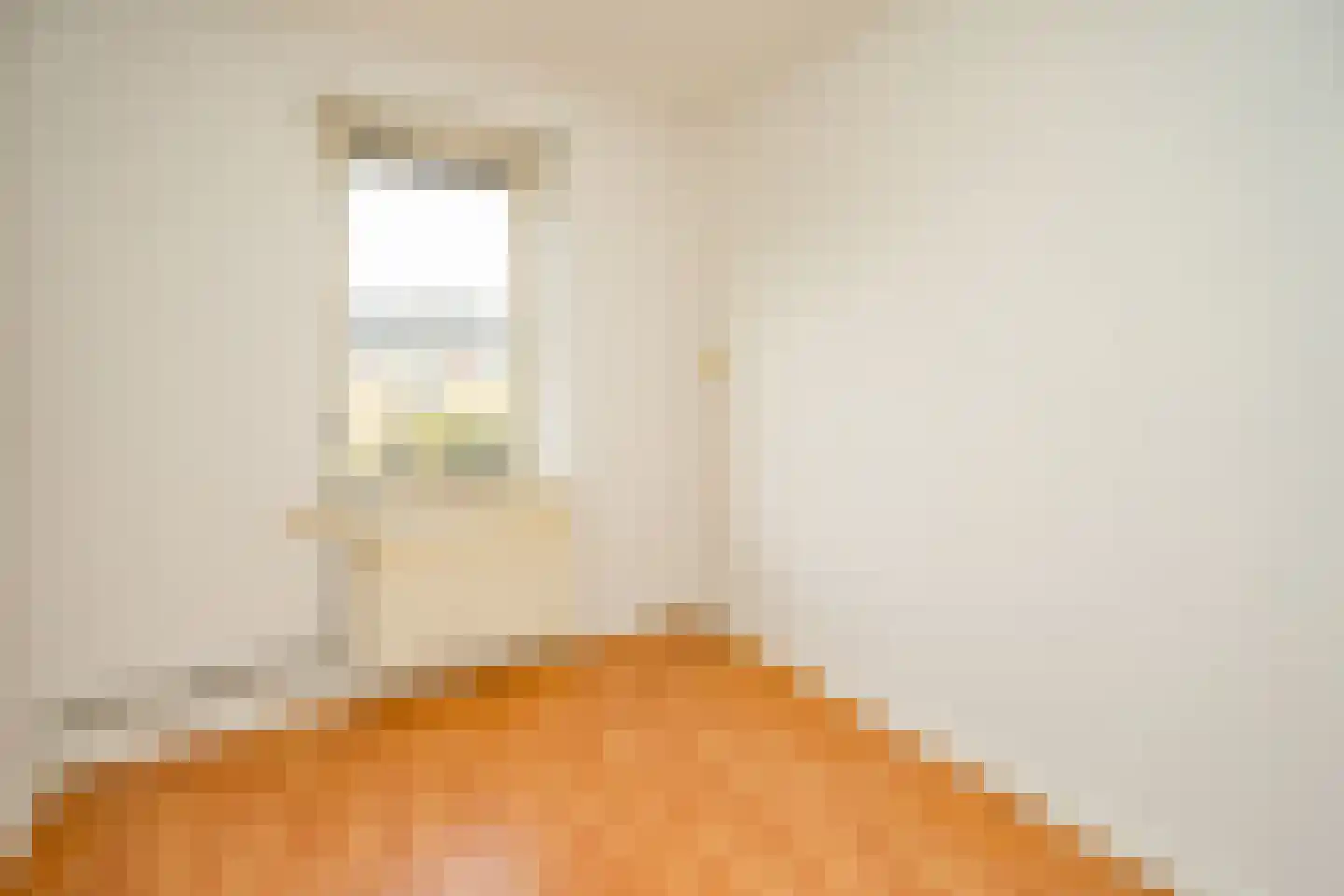 Deken Gruenwaltstraat 16 Nijmegen thumbnail 15