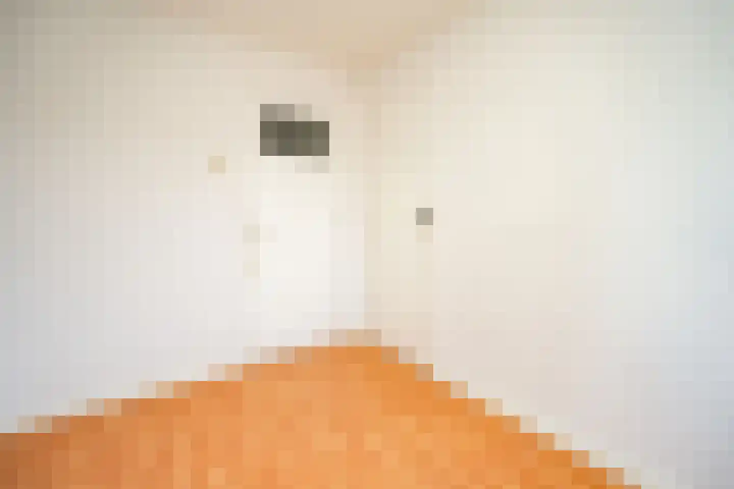 Deken Gruenwaltstraat 16 Nijmegen thumbnail 16