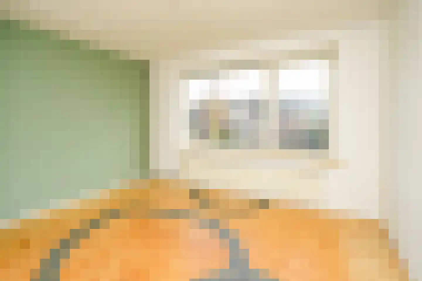 Deken Gruenwaltstraat 16 Nijmegen thumbnail 20