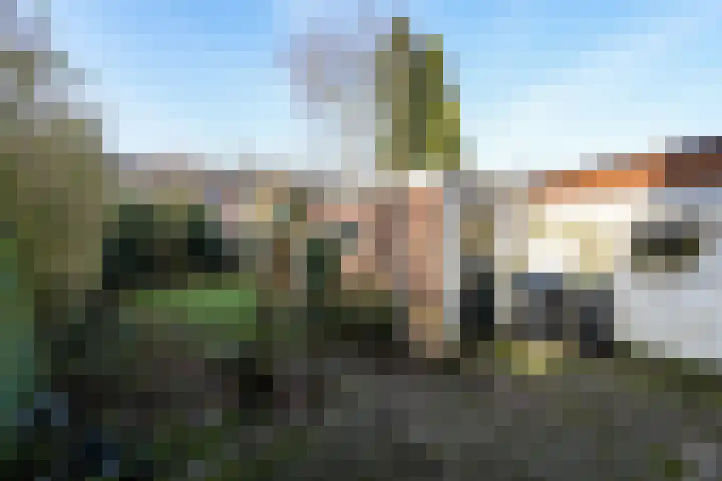 Deken Gruenwaltstraat 16 Nijmegen thumbnail 35