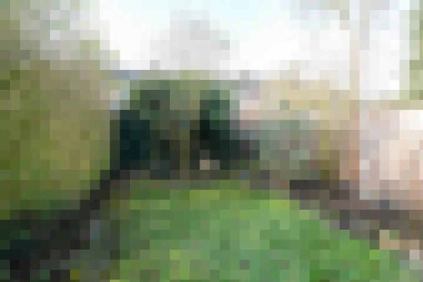 Deken Gruenwaltstraat 16 Nijmegen thumbnail 37