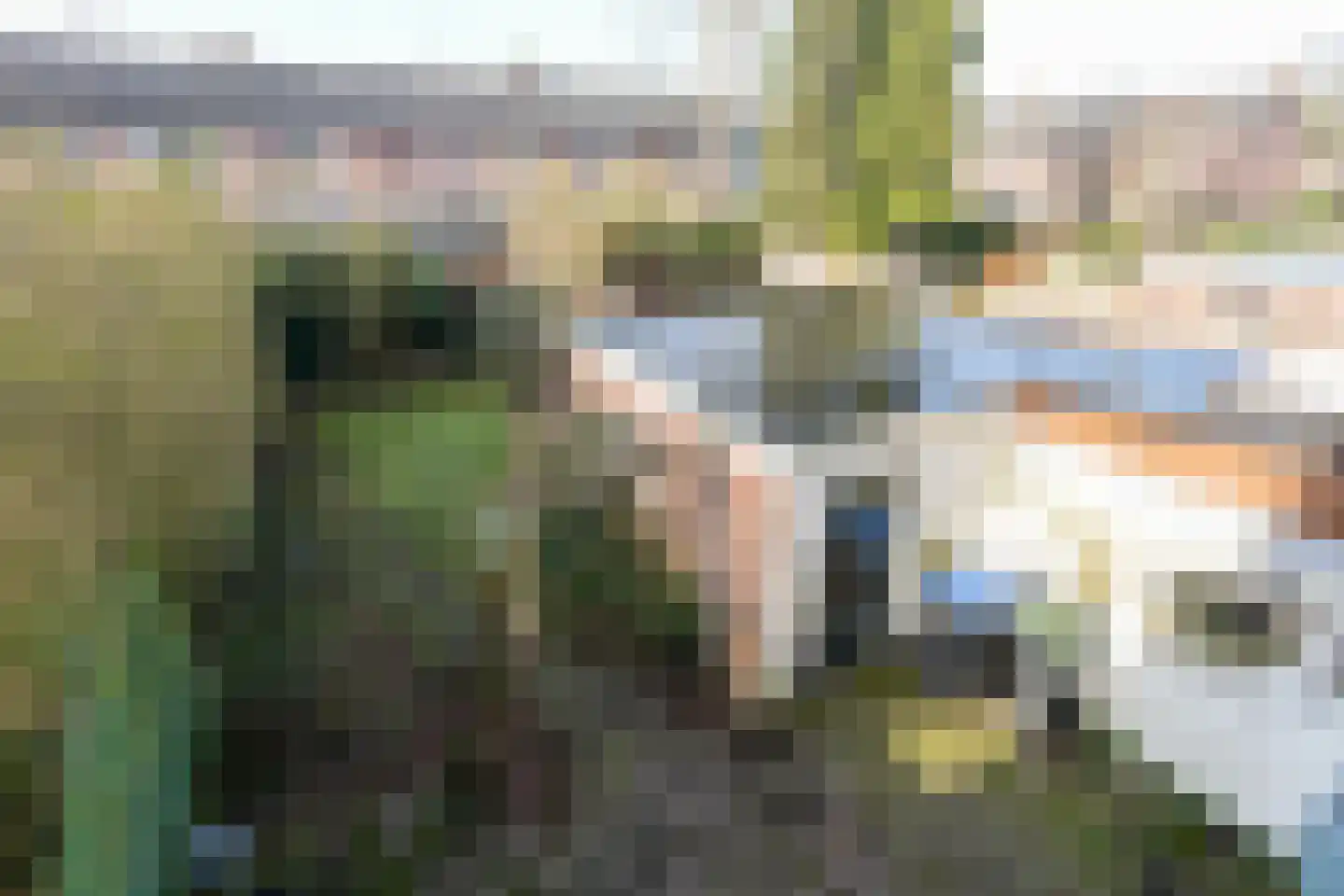 Deken Gruenwaltstraat 16 Nijmegen thumbnail 38