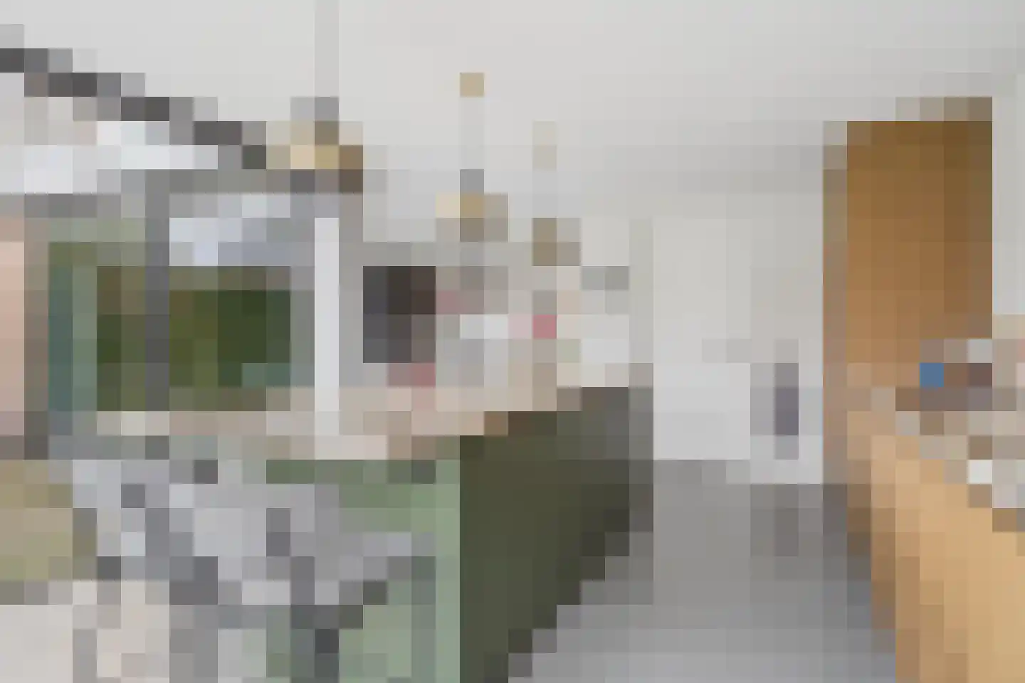 Deken Heinenstraat 12 Bunnik thumbnail 15