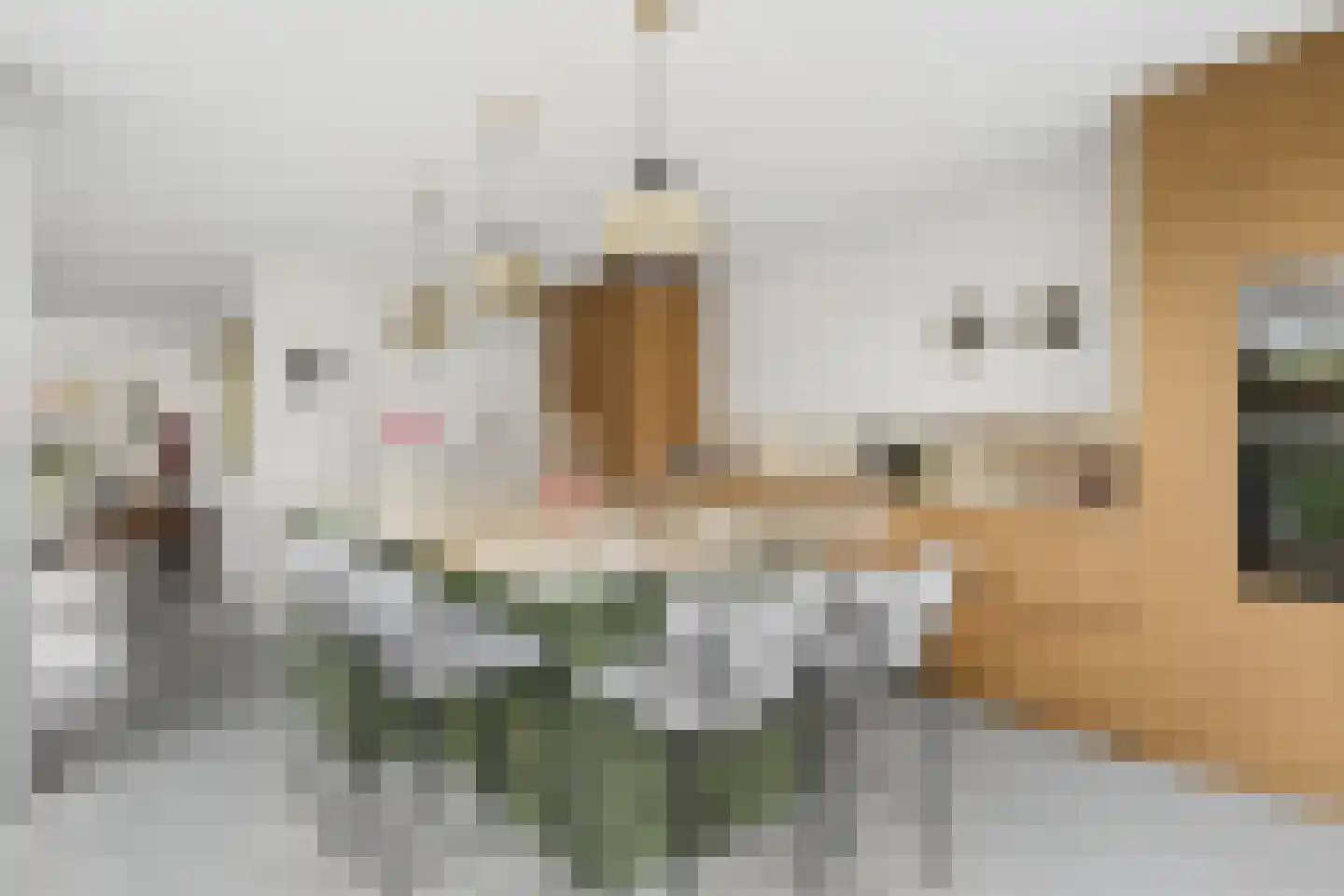 Deken Heinenstraat 12 Bunnik thumbnail 17