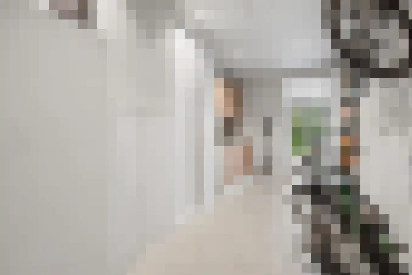 Deken Heinenstraat 12 Bunnik thumbnail 23