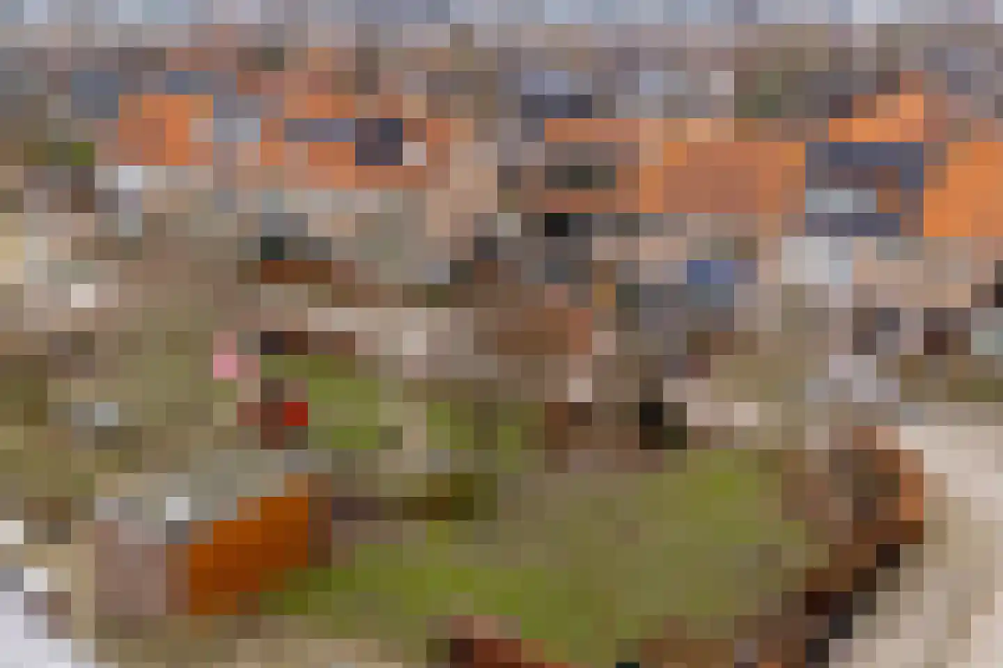 Deken Heinenstraat 12 Bunnik thumbnail 4