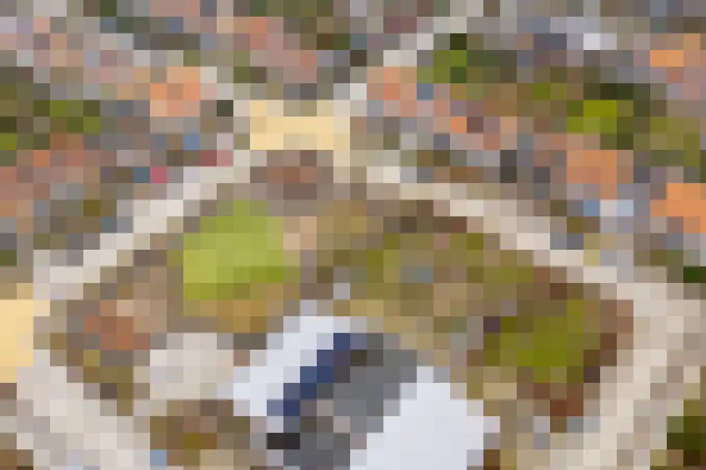 Deken Heinenstraat 12 Bunnik thumbnail 52