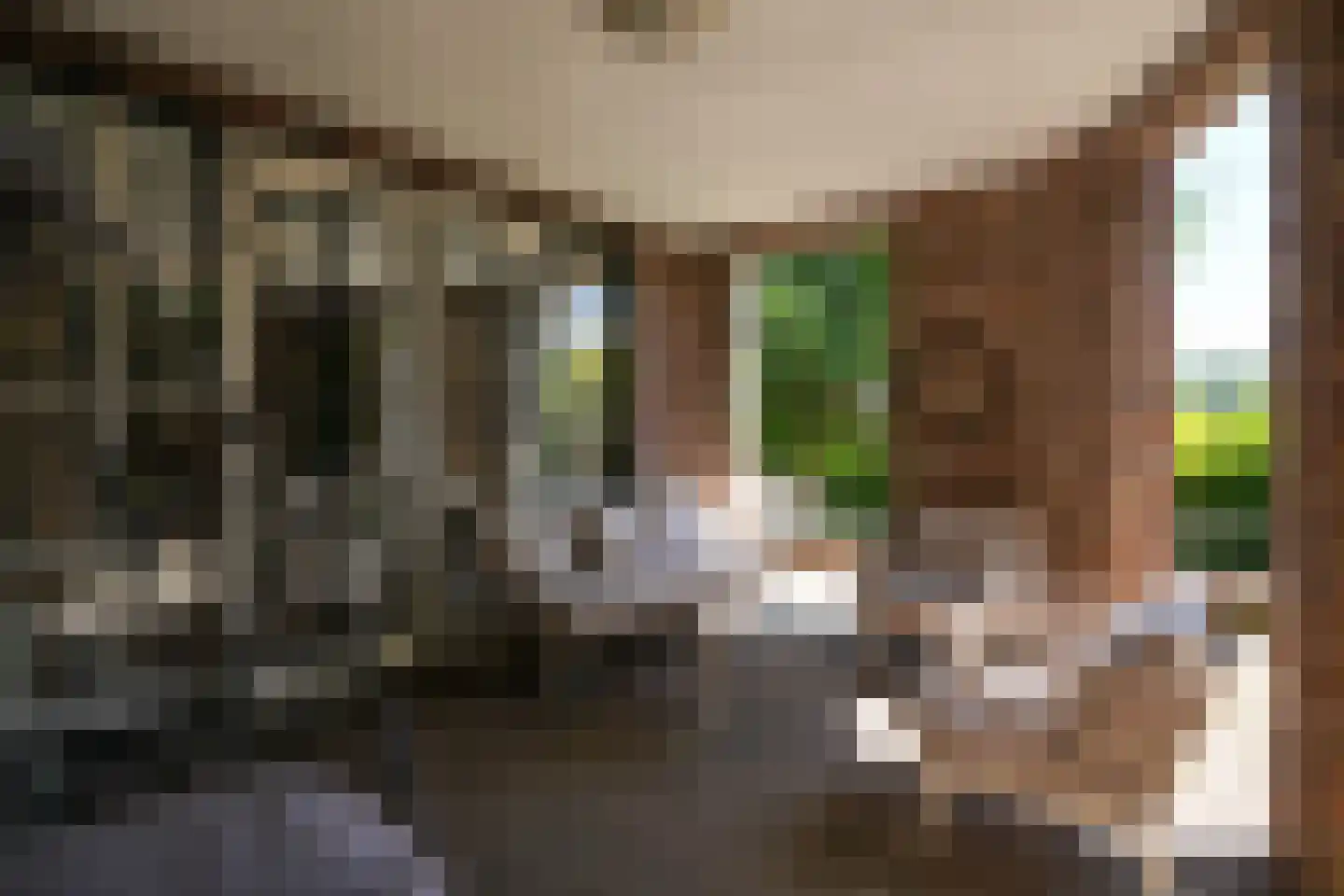 Deken Hennissenstraat 11 Gulpen thumbnail 12
