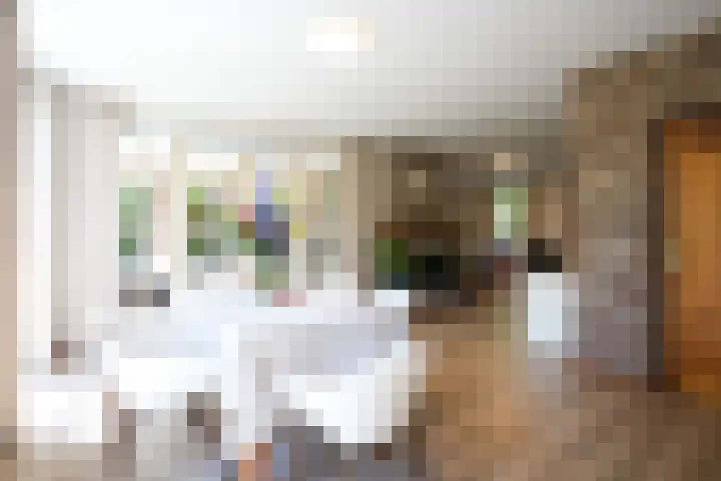Deken Hennissenstraat 11 Gulpen thumbnail 20