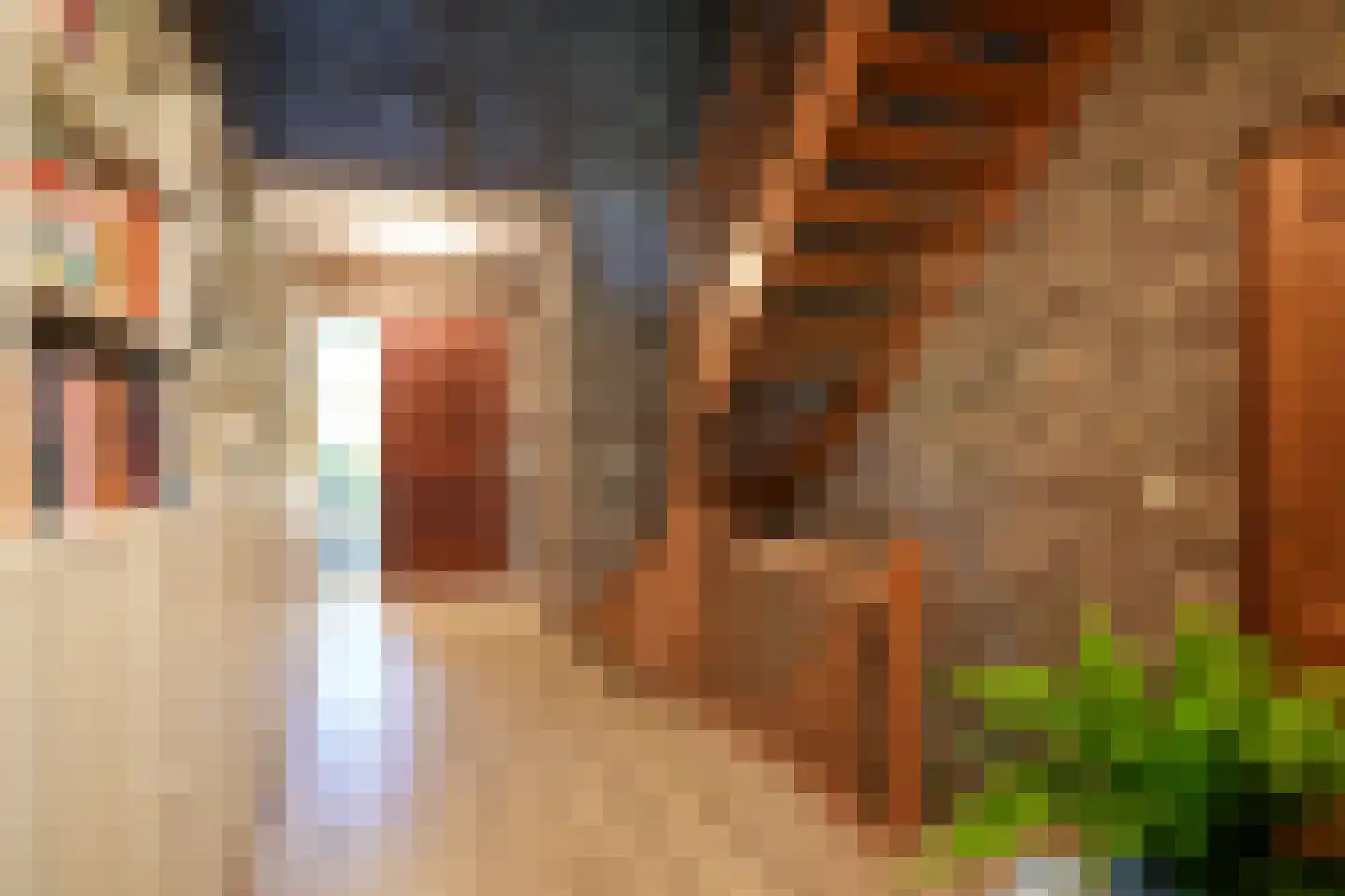 Deken Hennissenstraat 11 Gulpen thumbnail 4