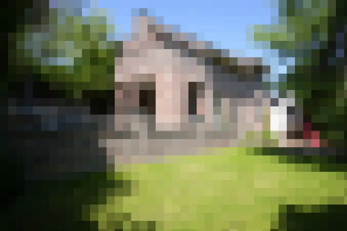 Deken Hennissenstraat 11 Gulpen thumbnail 46