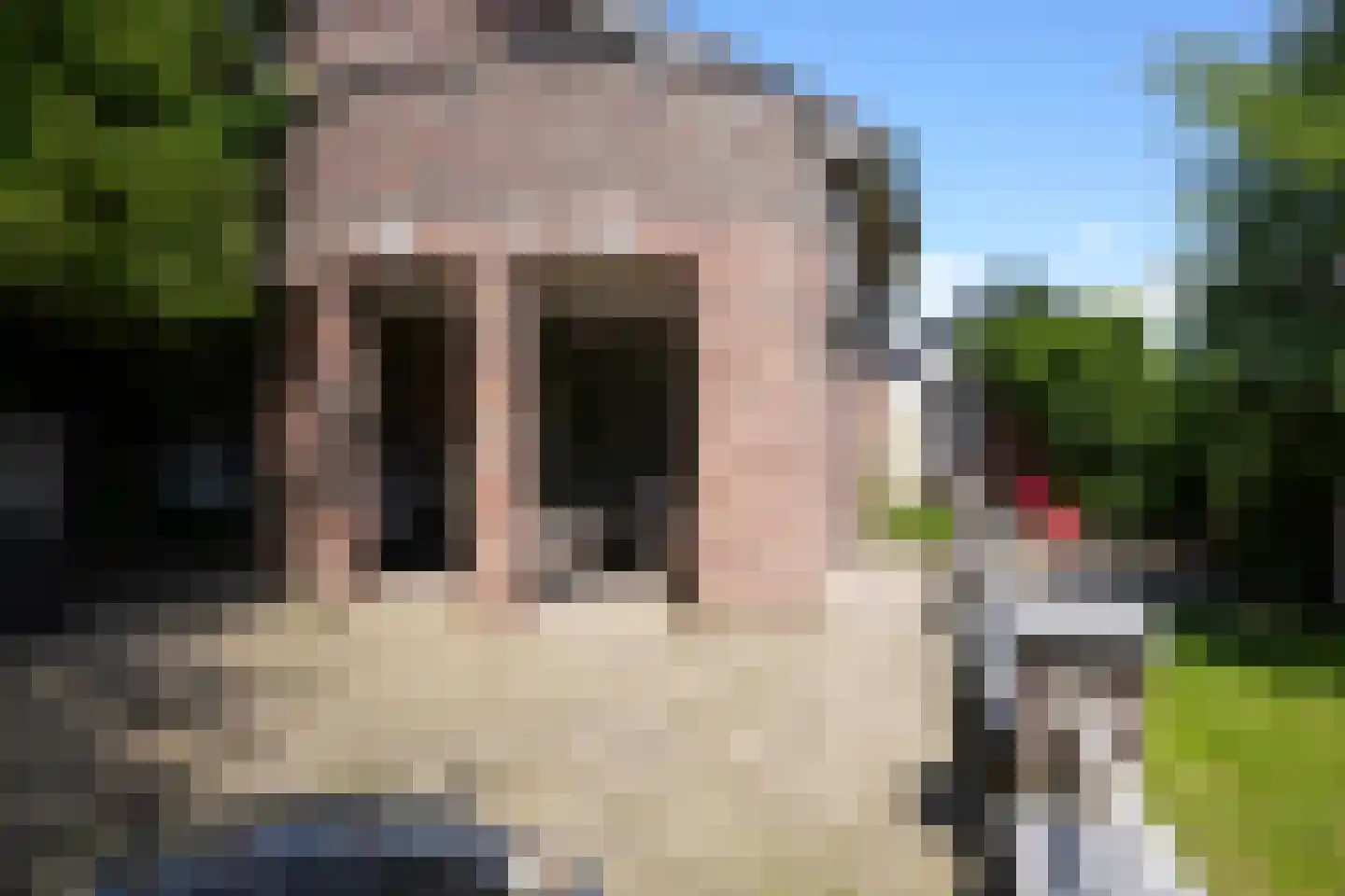 Deken Hennissenstraat 11 Gulpen thumbnail 47