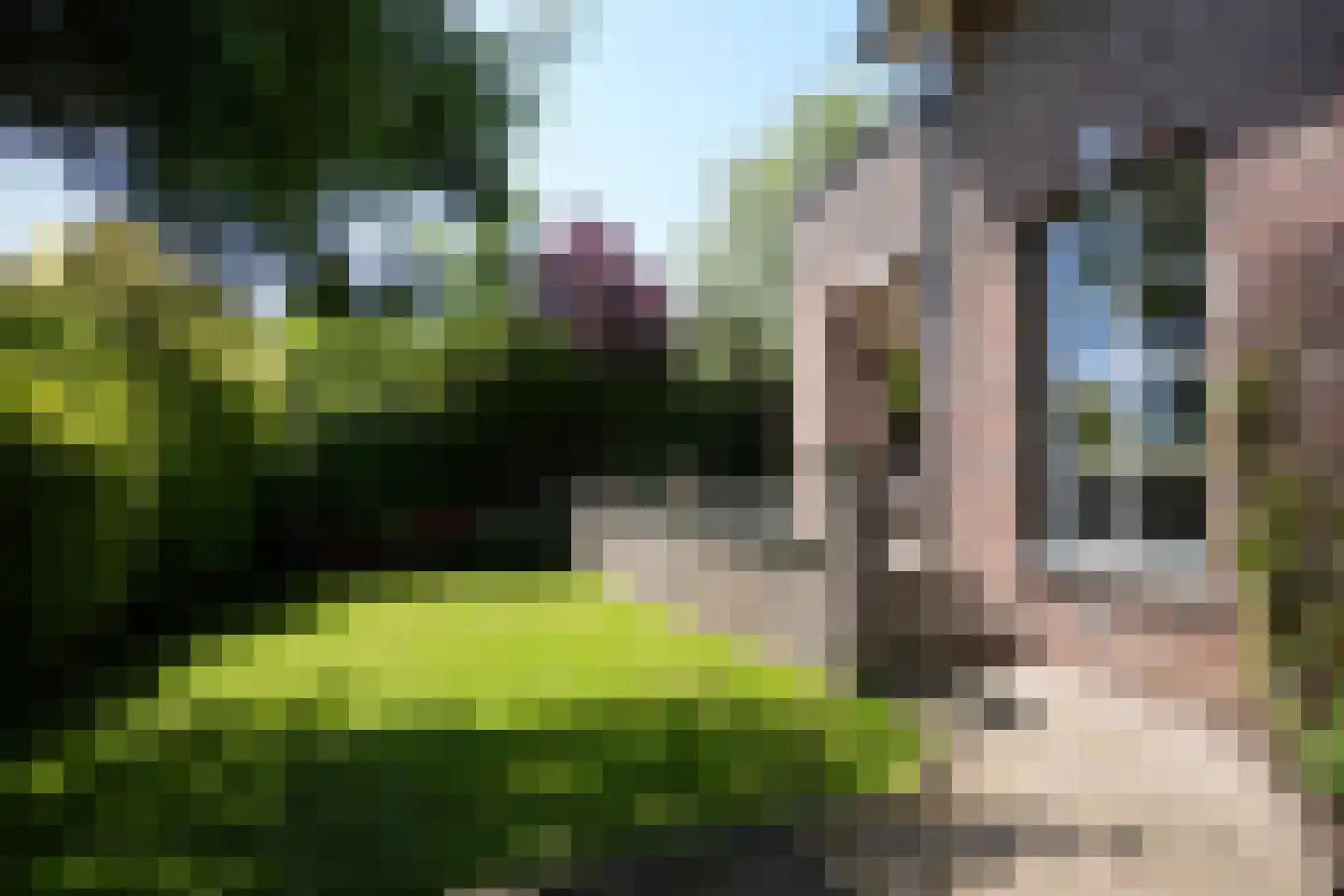 Deken Hennissenstraat 11 Gulpen thumbnail 51