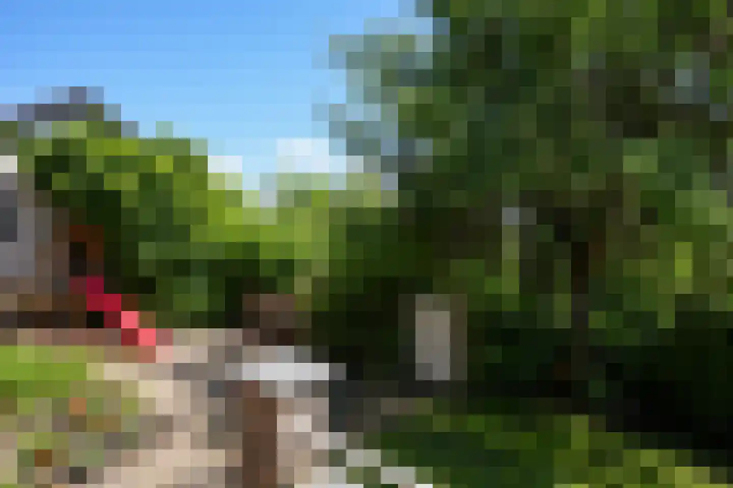 Deken Hennissenstraat 11 Gulpen thumbnail 52