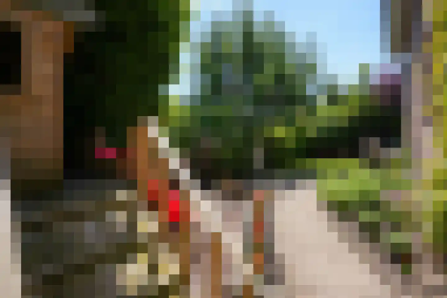 Deken Hennissenstraat 11 Gulpen thumbnail 53