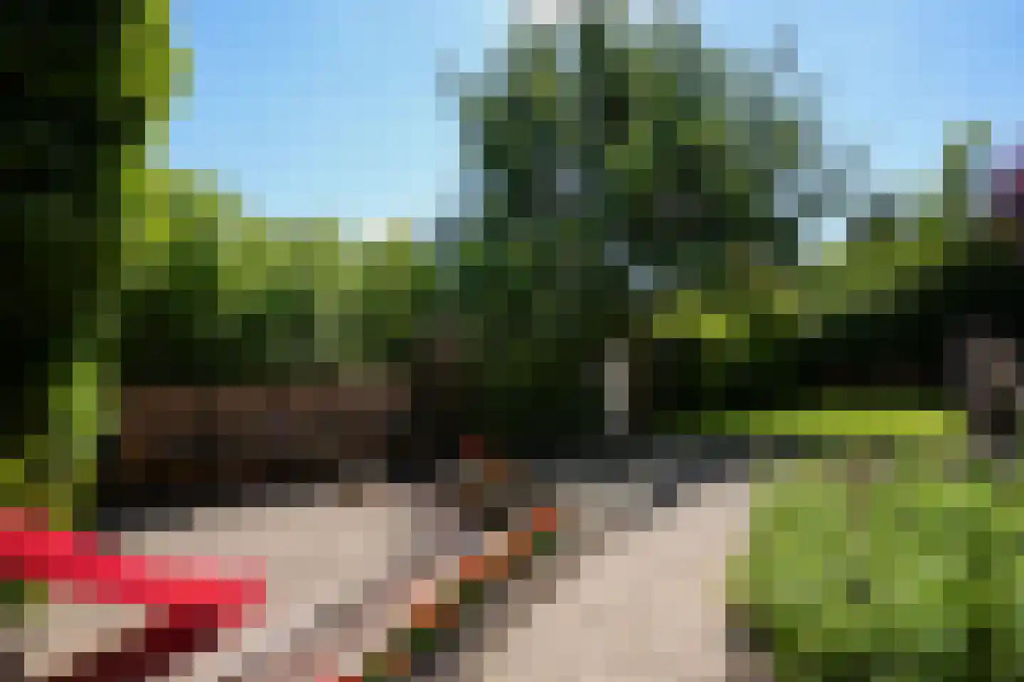 Deken Hennissenstraat 11 Gulpen thumbnail 54