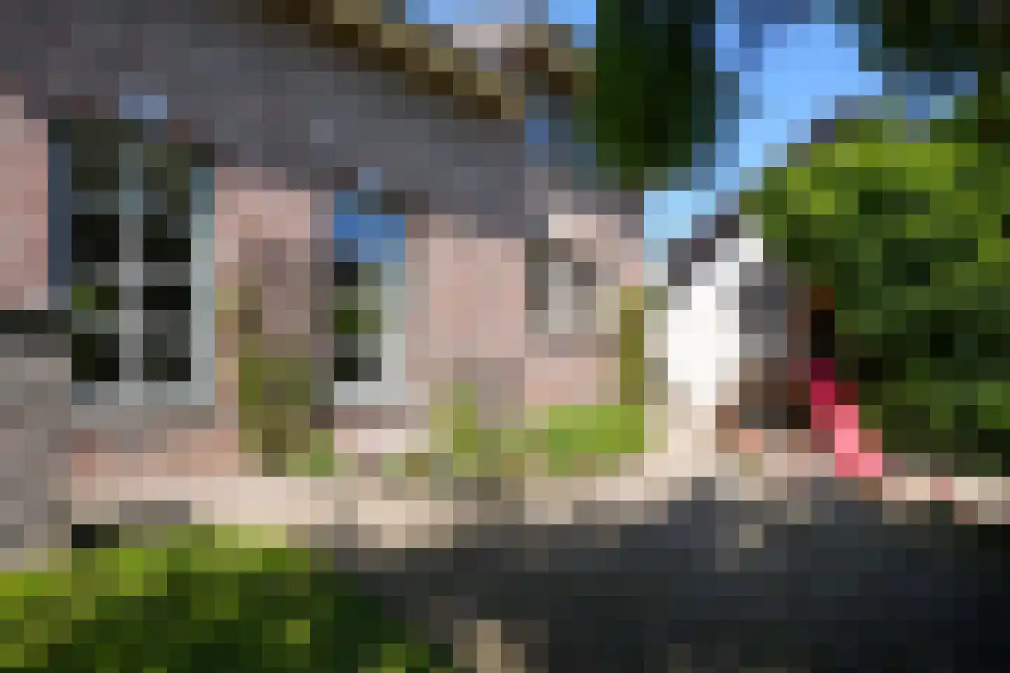 Deken Hennissenstraat 11 Gulpen thumbnail 55