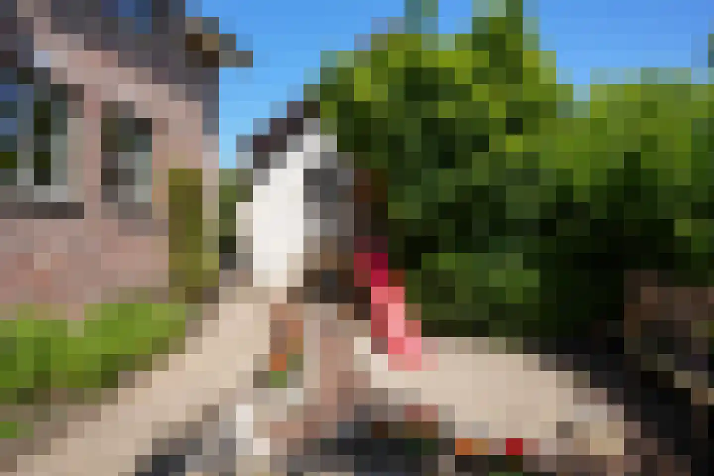 Deken Hennissenstraat 11 Gulpen thumbnail 56
