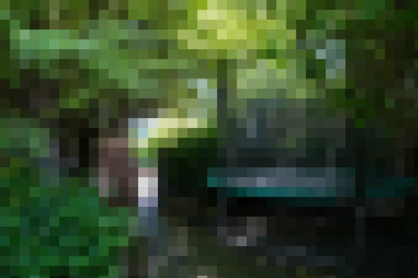Deken Hennissenstraat 11 Gulpen thumbnail 57