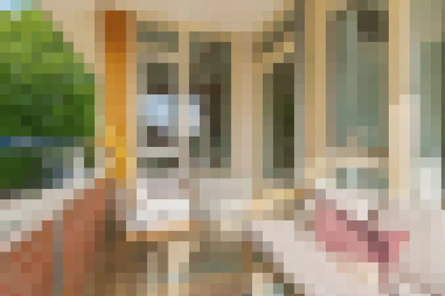 Deken Hensburchstraat 68 Nijmegen thumbnail 29
