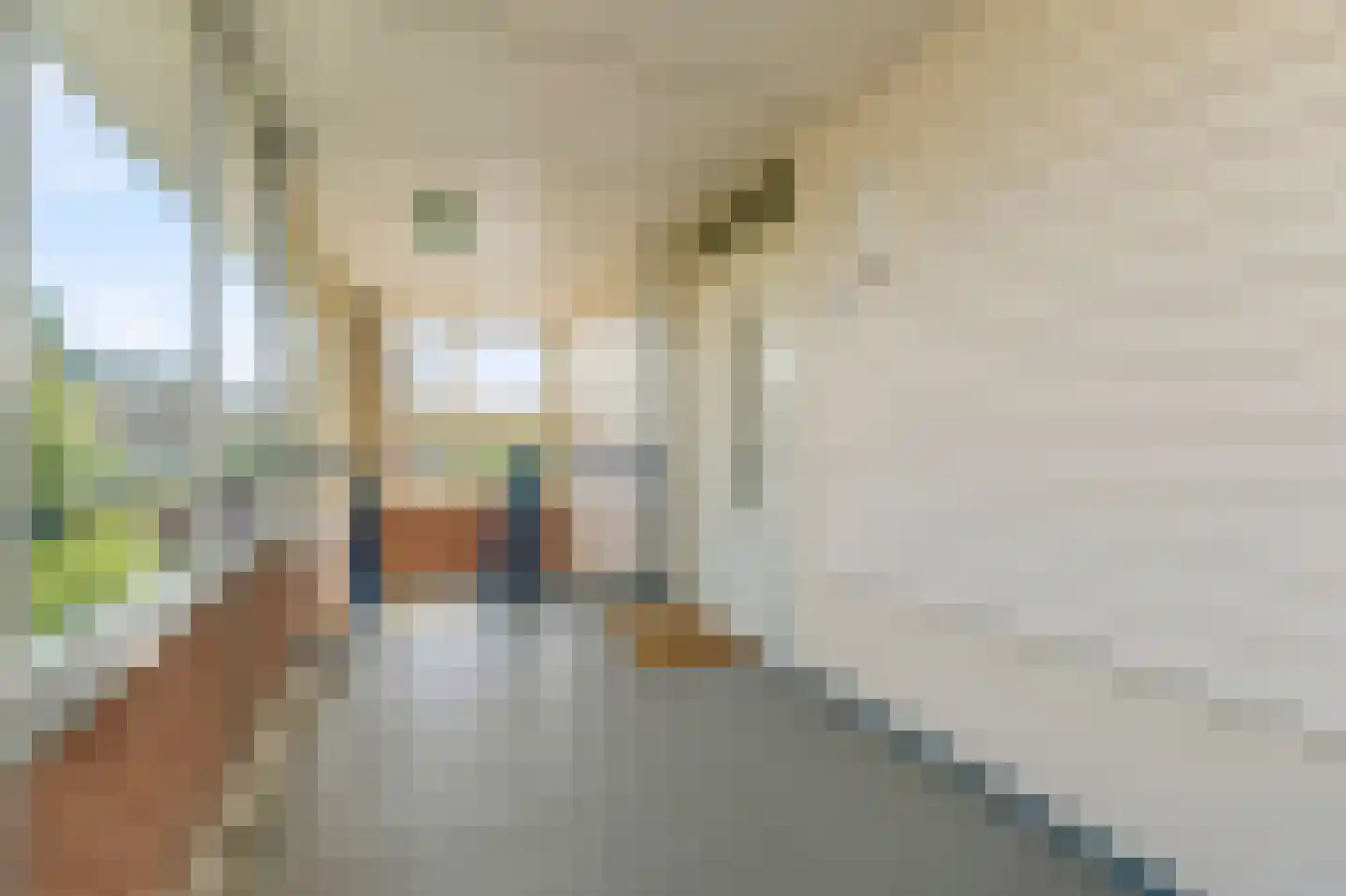 Deken Hensburchstraat 68 Nijmegen thumbnail 32