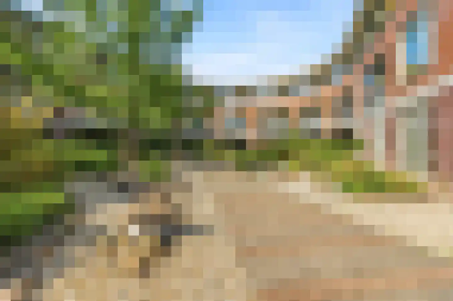 Deken Hensburchstraat 68 Nijmegen thumbnail 34