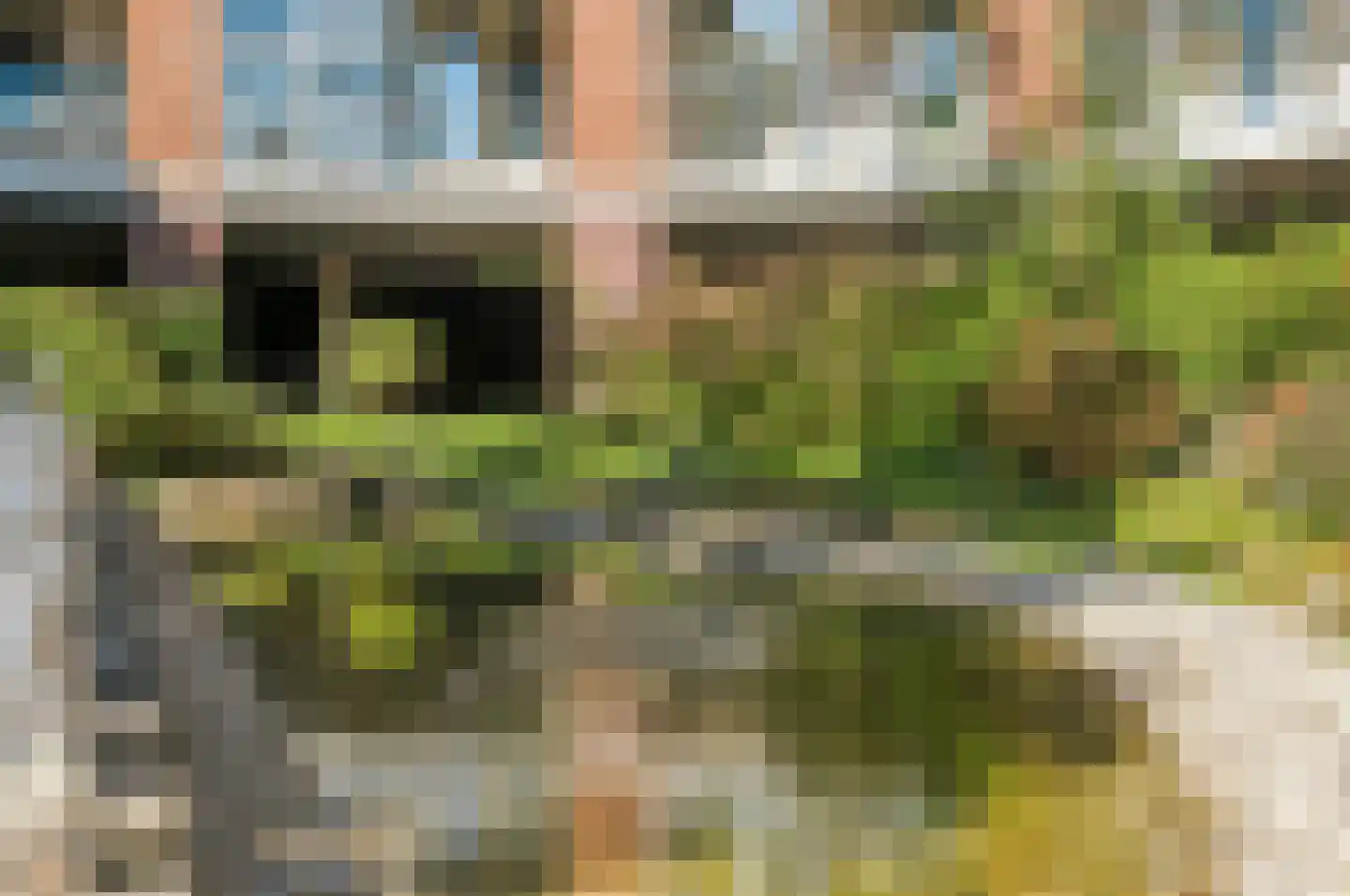 Deken Hensburchstraat 68 Nijmegen thumbnail 35