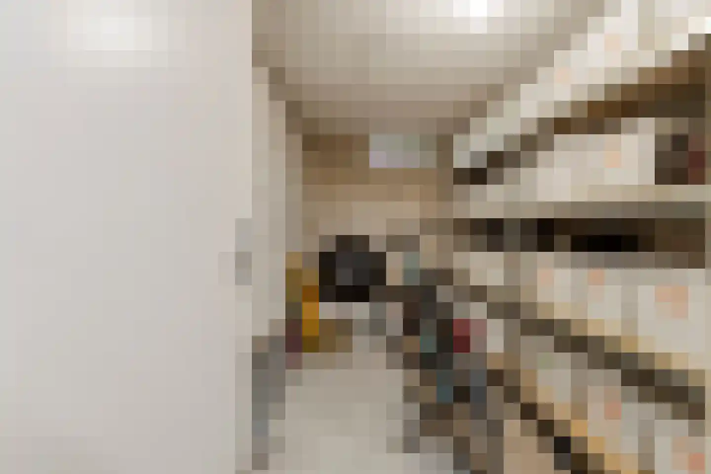 Deken Hensburchstraat 68 Nijmegen thumbnail 37