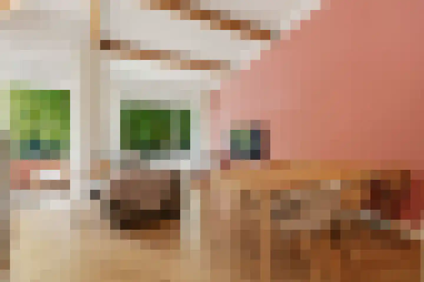 Deken Hensburchstraat 68 Nijmegen thumbnail 4