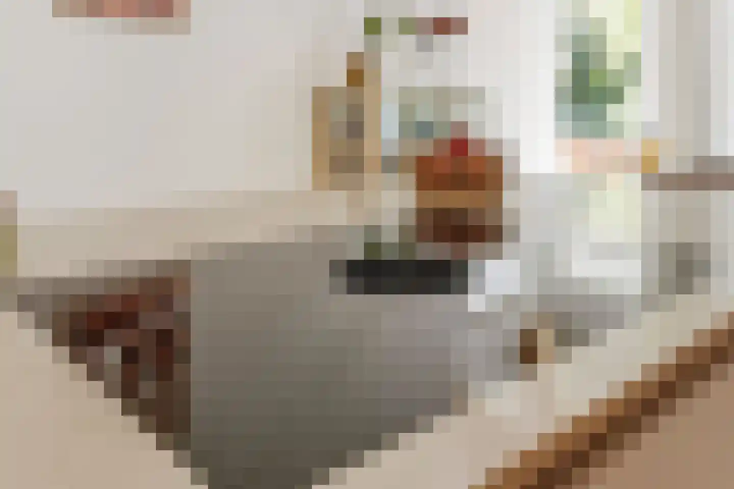 Deken Hensburchstraat 68 Nijmegen thumbnail 9