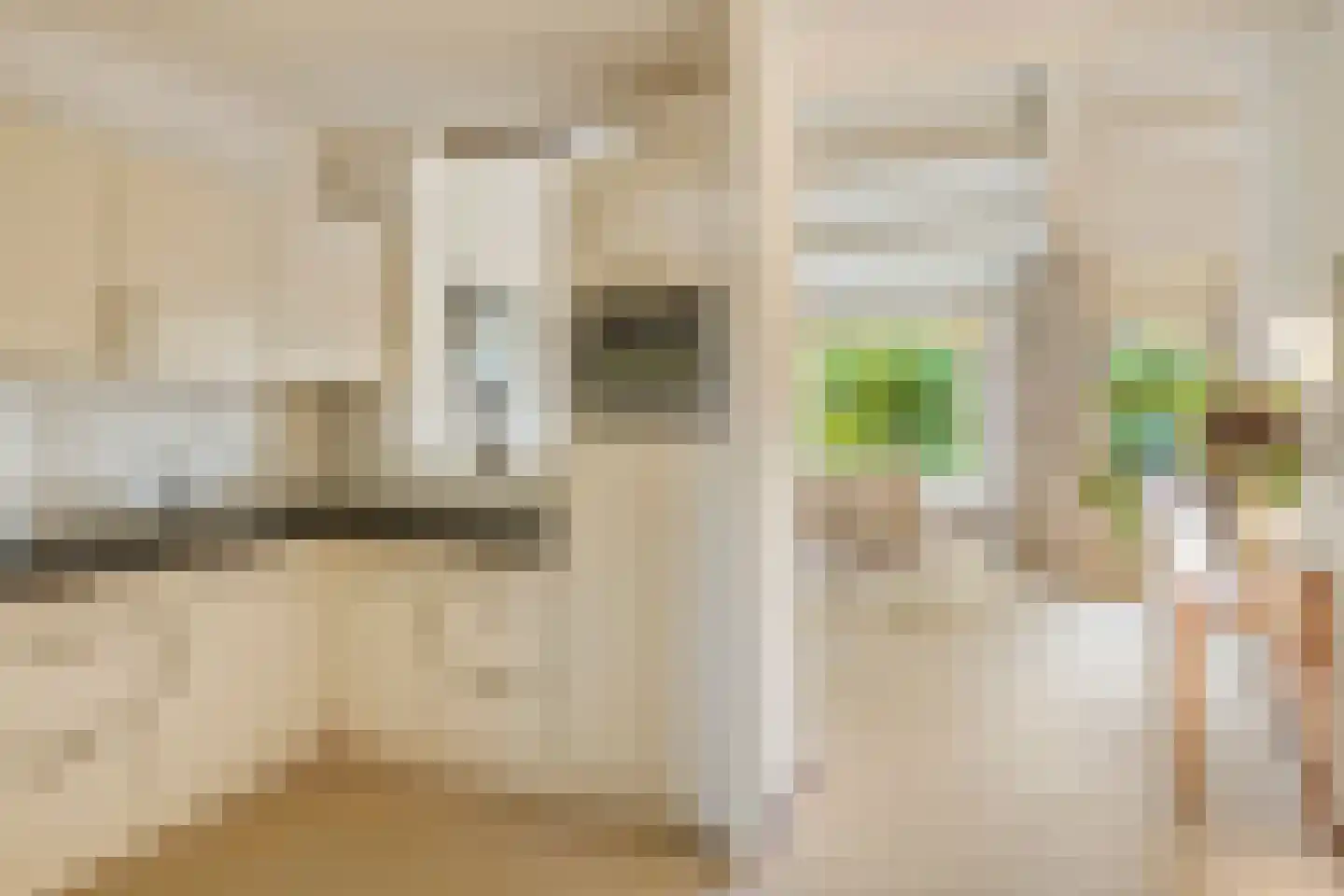 Deken Hensburchstraat 74 Nijmegen thumbnail 25