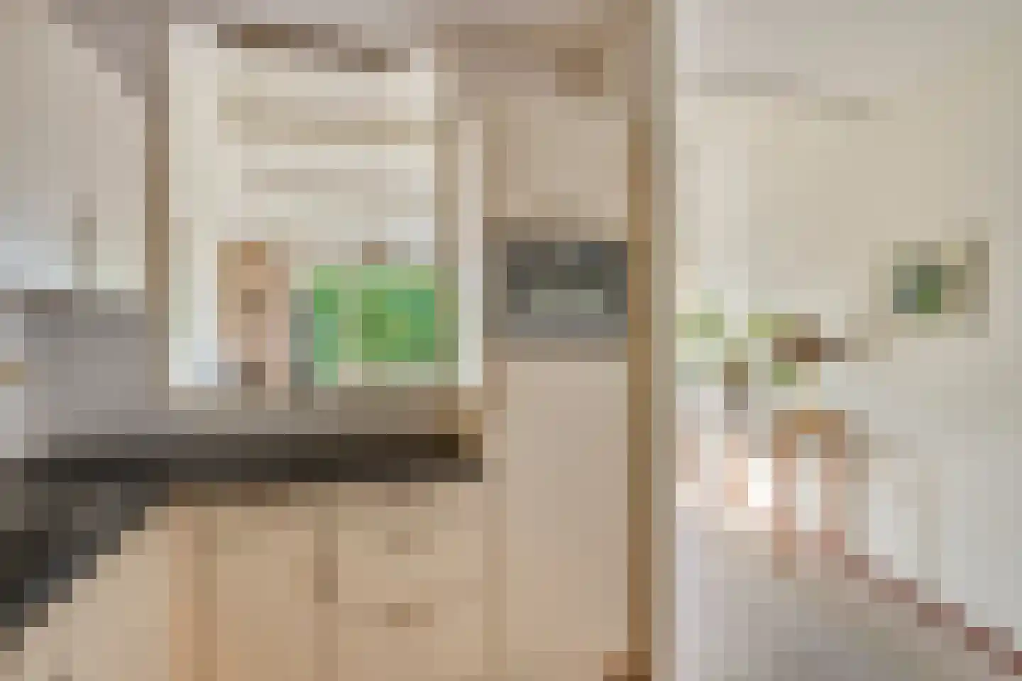 Deken Hensburchstraat 74 Nijmegen thumbnail 26