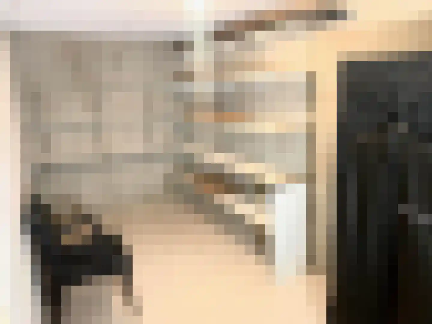 Deken Hensburchstraat 74 Nijmegen thumbnail 34