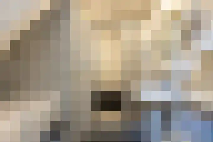 Deken Hooijmansingel 57 Groenlo thumbnail 17