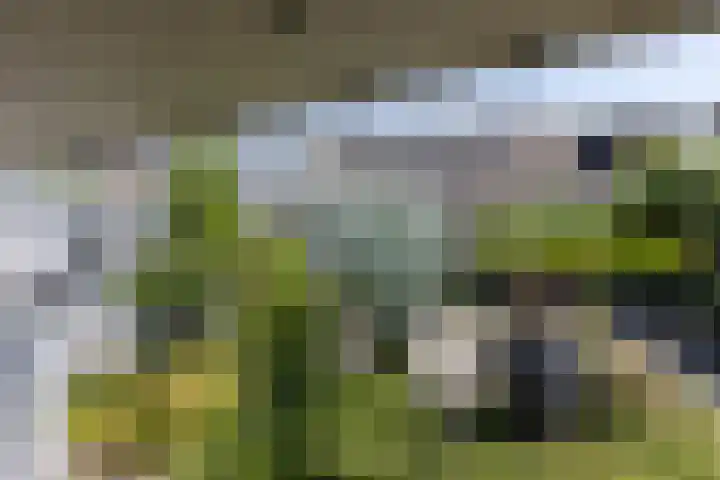 Deken Hooijmansingel 57 Groenlo thumbnail 21