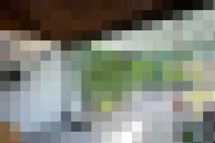 Deken Hooijmansingel 57 Groenlo thumbnail 22