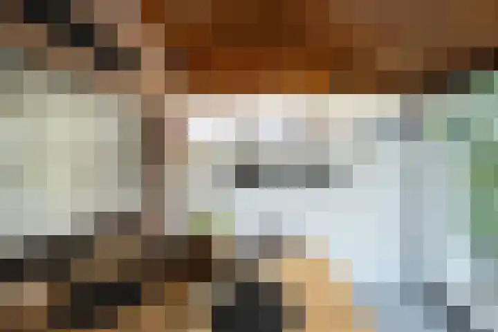 Deken Hooijmansingel 57 Groenlo thumbnail 23