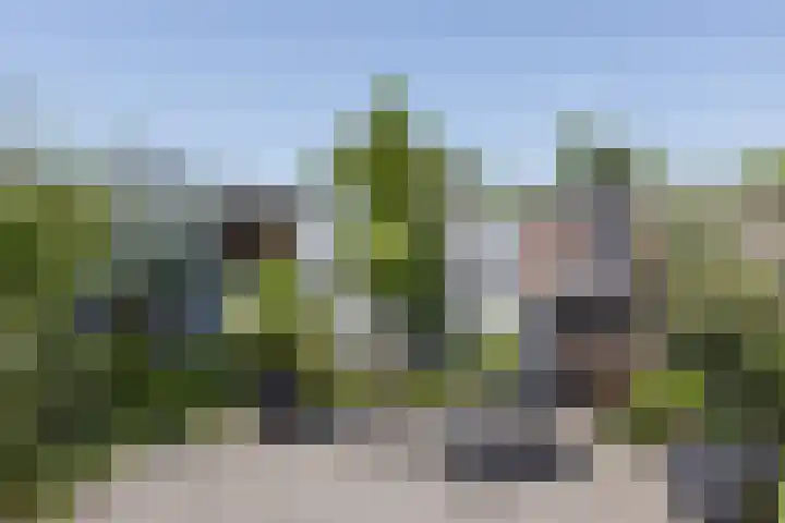 Deken Hooijmansingel 57 Groenlo thumbnail 25