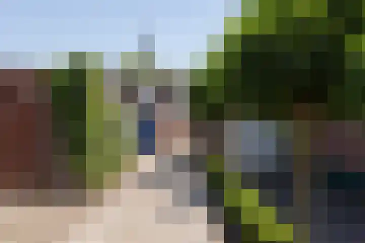 Deken Hooijmansingel 57 Groenlo thumbnail 29