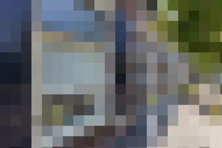 Deken Hooijmansingel 57 Groenlo thumbnail 31