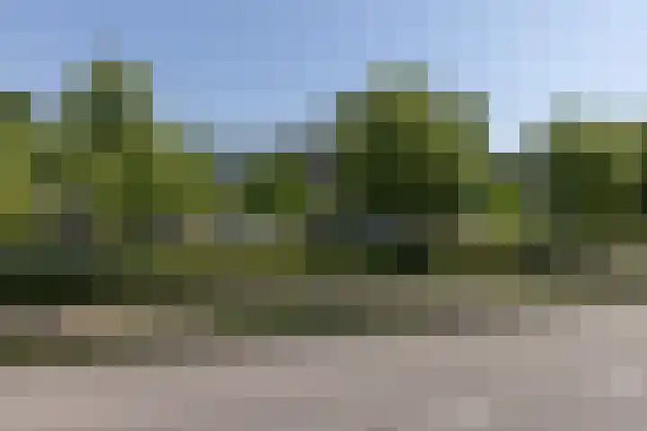 Deken Hooijmansingel 57 Groenlo thumbnail 32