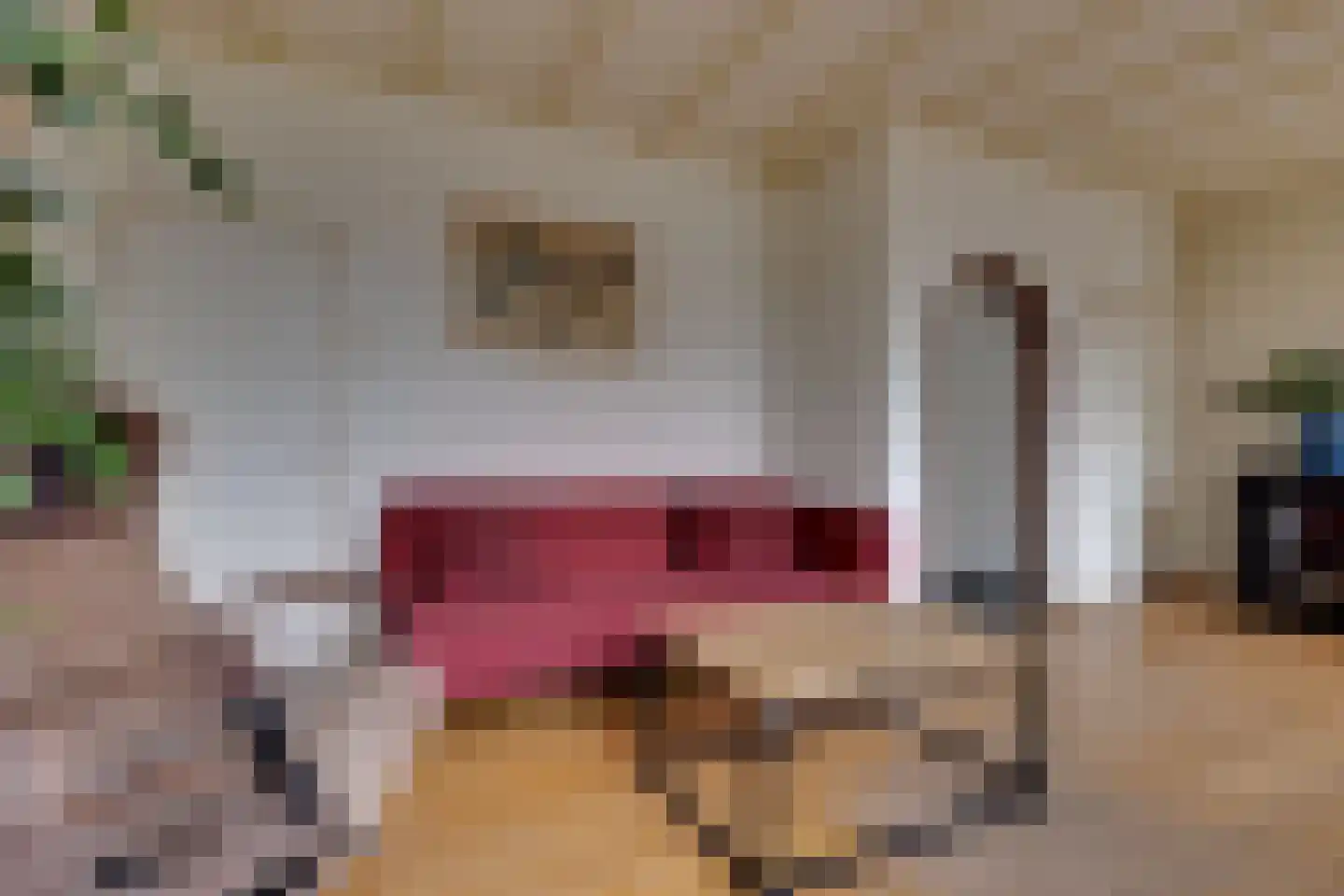 Deken Hooijmansingel 59 Groenlo thumbnail 10