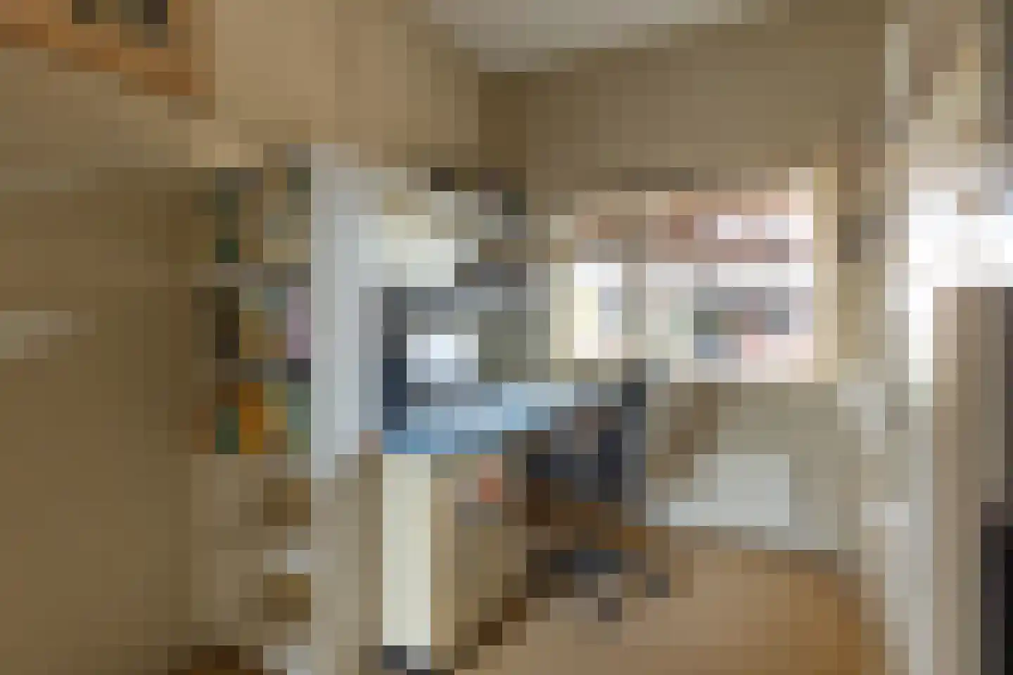 Deken Hooijmansingel 59 Groenlo thumbnail 13