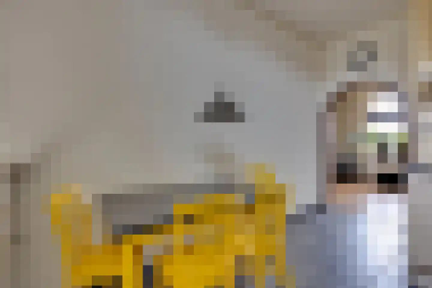 Deken Hooijmansingel 59 Groenlo thumbnail 14