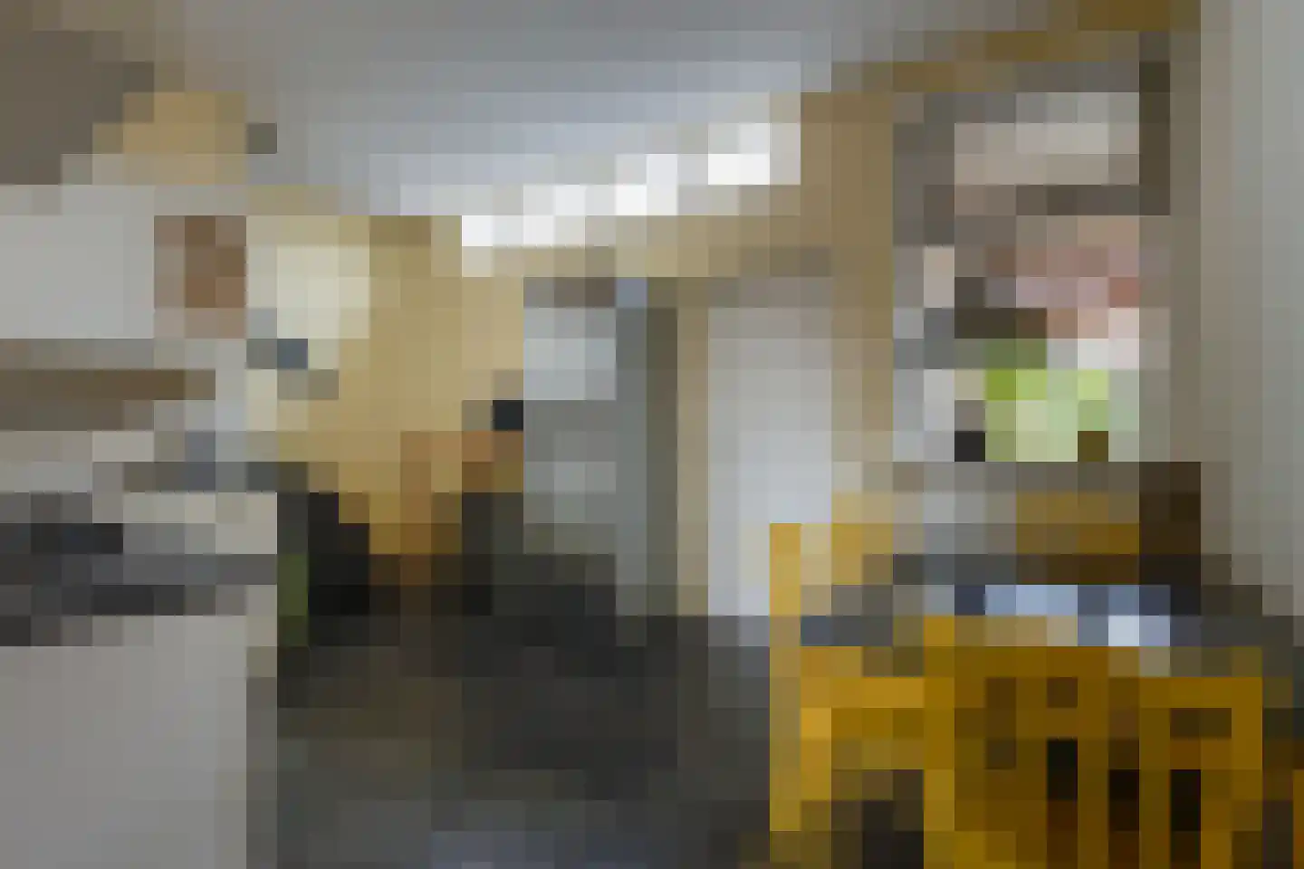 Deken Hooijmansingel 59 Groenlo thumbnail 15